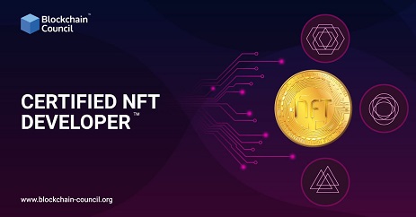 Certified NFT Developer