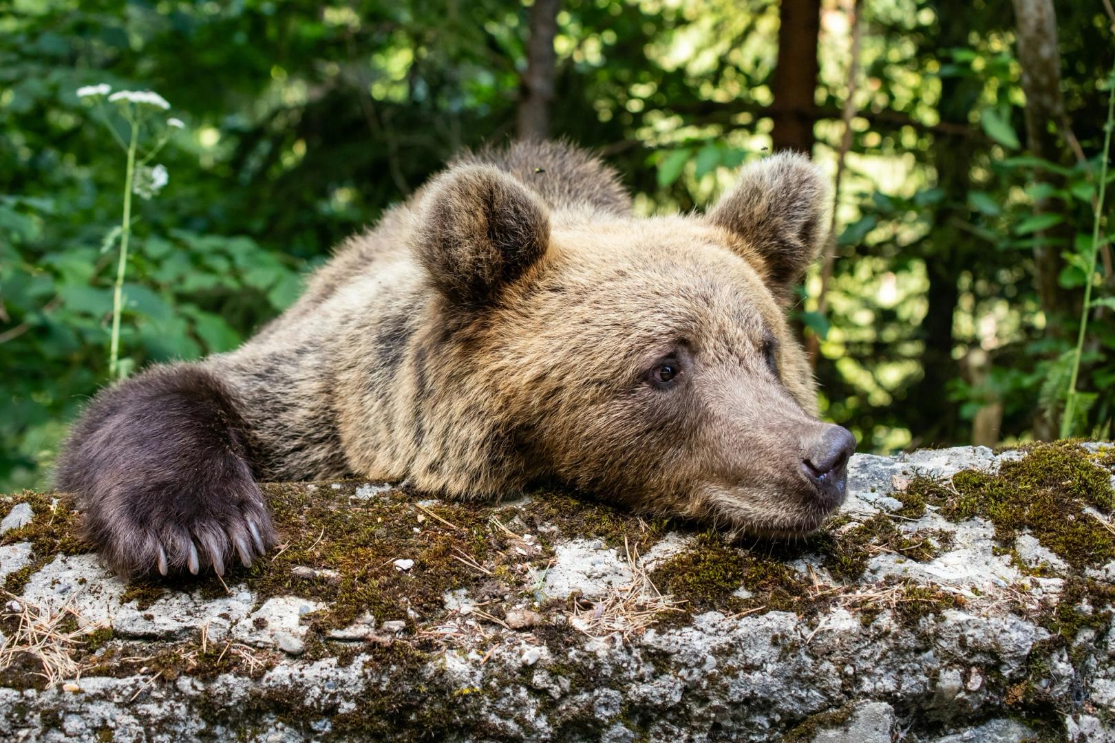 Crypto bears torched for $300M in liquidations as the market flips the script!
