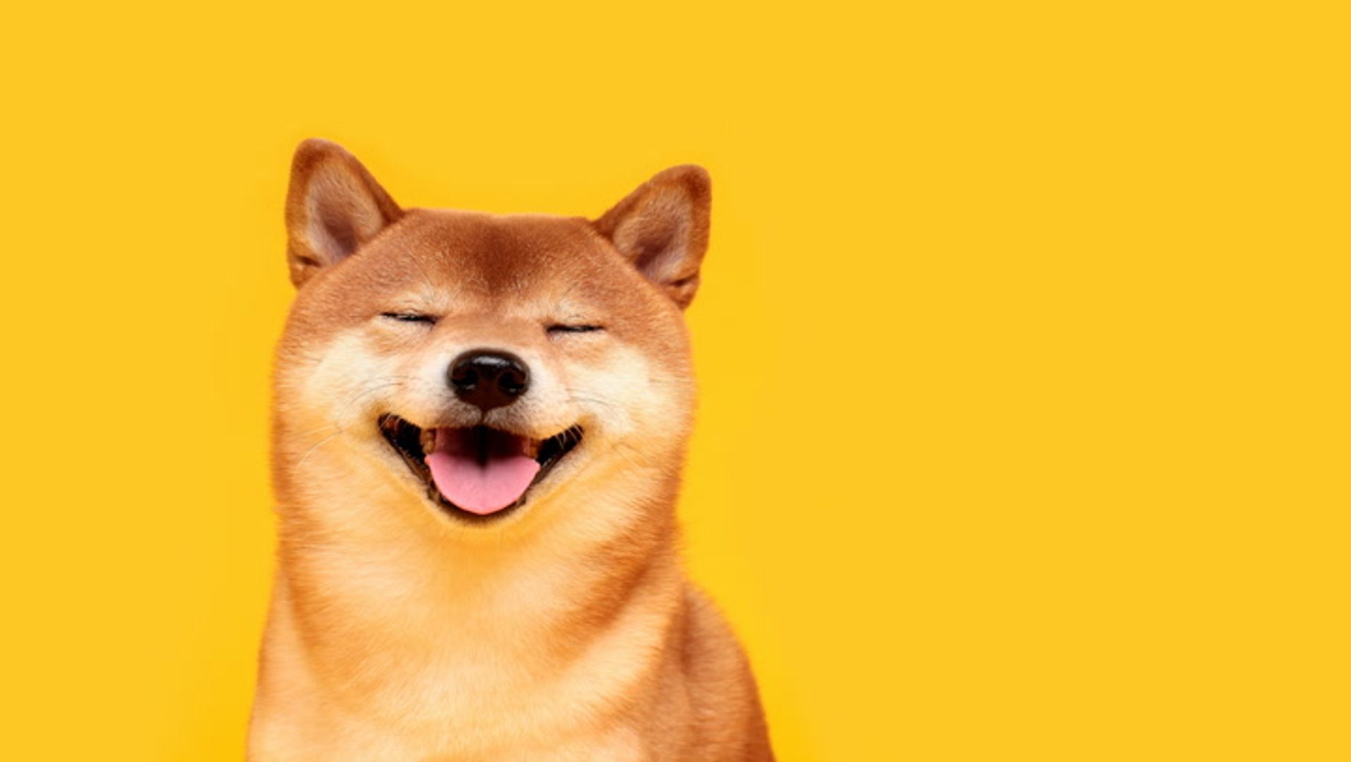 DOGE surges 10% and breaks from BTC as open interest hits a yearly high!