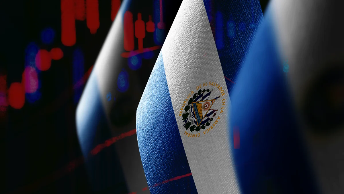 El Salvador Halted Public BTC Buys in June, IMF Says
