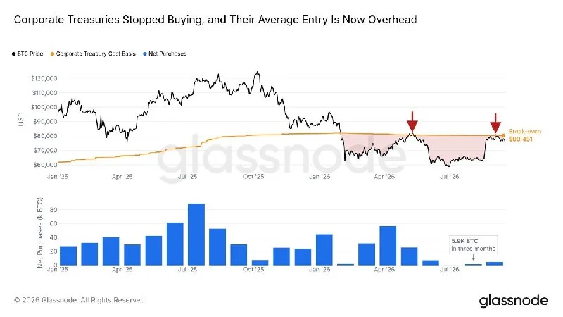 BTC Corporate Buying Slows as Unrealized Losses Mount