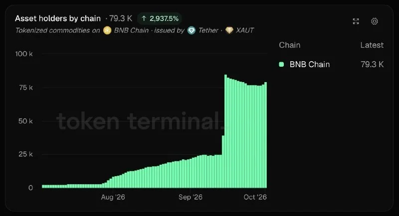 XAUT'un BNB Chain'deki sahip sayısı üç ayda 29 katına çıktı