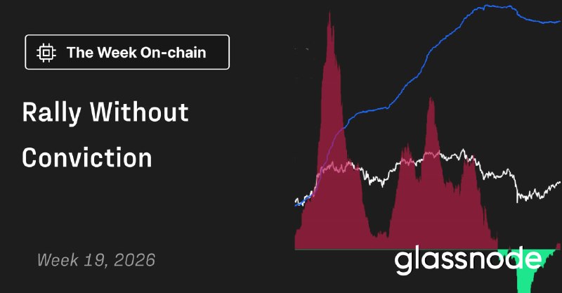 BTC Clears $80K as ETF Inflows and Spot Demand Flip Positive — But $86K Overhead Caps Conviction!