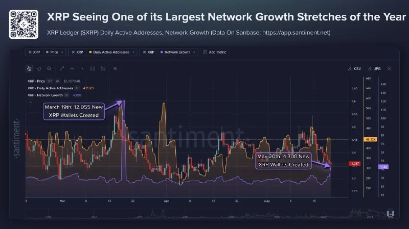 XRP Logs 4,300 New Wallets in 24 Hours — 4th Largest Network Growth Spike of 2026!