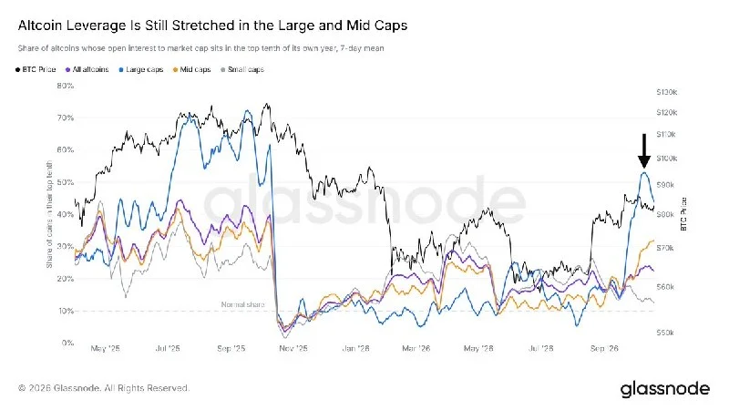 Altcoin Leverage Stays High, Putting Longs at Risk