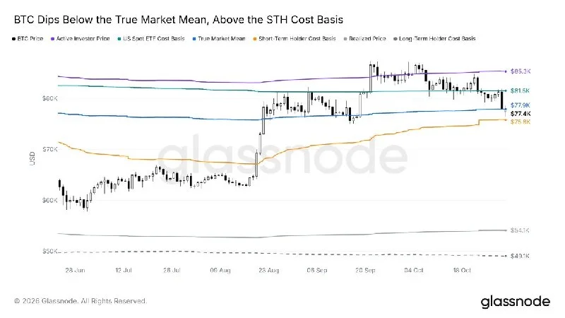 Bitcoin Retests True Market Mean as Uptrend Continues