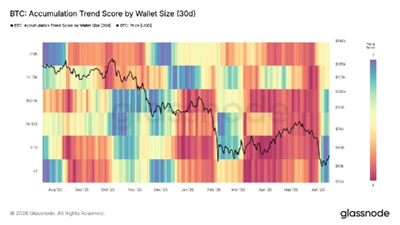 Les scores de tendance d'accumulation de BTC augmentent dans plusieurs cohortes de portefeuilles…