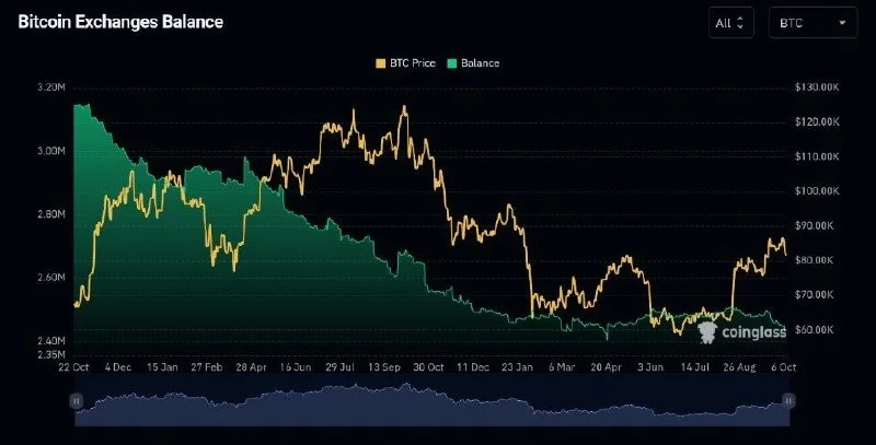 Bitcoin Yatırımcıları 1 Yılda 700 Bin BTC Çekti