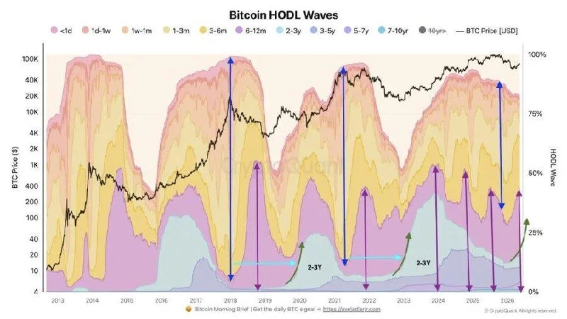 CryptoQuant HODL Waves Signal Bitcoin Cycle Bottom in $65.9K–$70.5K Range