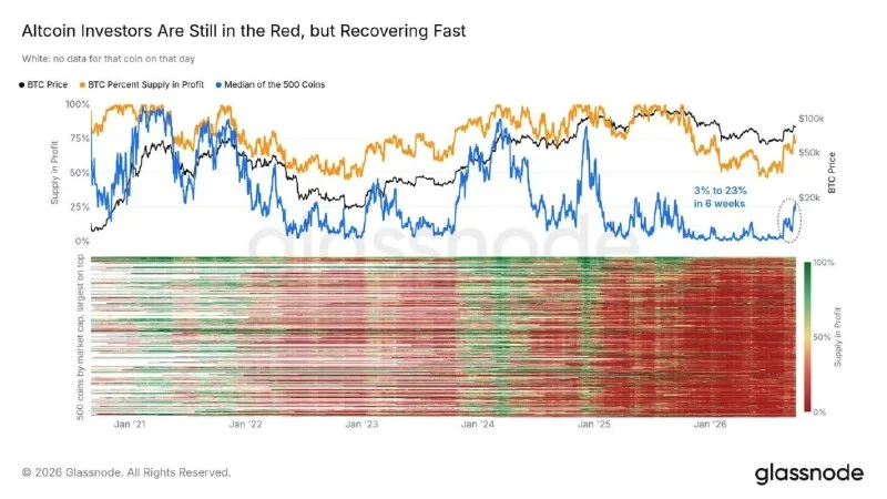 Altcoins Under Pressure: Under 25% of Median Supply in Profit