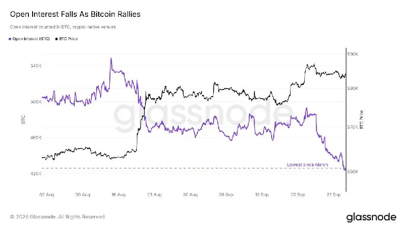 Bitcoin Rallies 35% as Open Interest Drops Nearly 20%