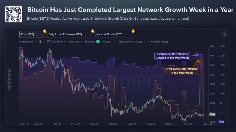 Bitcoin Adds 2.27M New Wallets as Users Rethink Custody