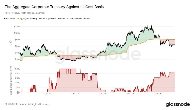 BTC Hazinesi: Halka Açık Şirketlerin %80'i Zararda