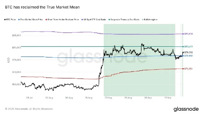 Bitcoin Reclaims True Market Mean and Eyes $80K