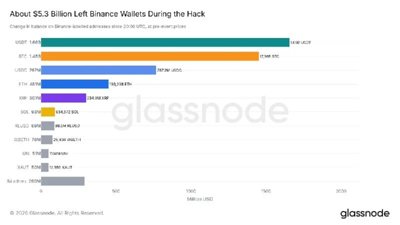 Binance Faces $5.3B Hack Claim as Reported Assets Emerge