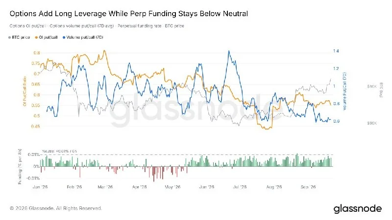 BTC Leverage Rebuilds as Options Open Interest Rises