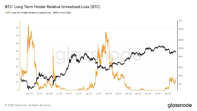 BTC langfristige Inhaber tragen 15 Cent Verlust pro Dollar bei…