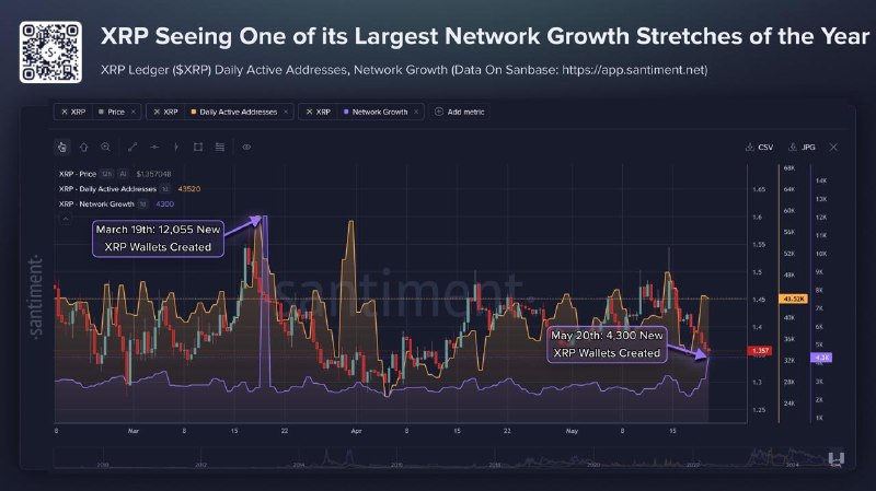 XRP Logs 4,300 New Wallets in 24 Hours — 4th Largest Network Growth Spike of 2026!