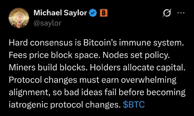 Bitcoin-Hard-Consensus: Saylor nennt ihn das Immunsystem