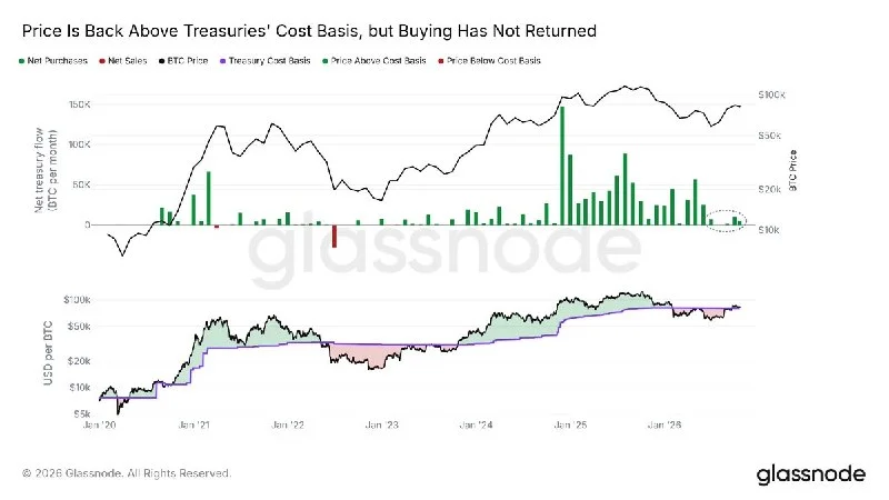 BTC Treasury Firms Buy Little Despite Holding Unrealized Gains