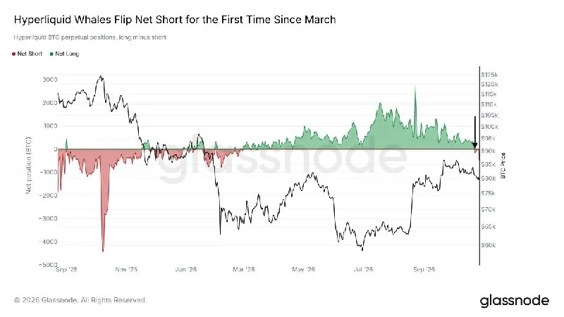 BTC: Hyperliquid-Wale gehen erstmals seit März netto short