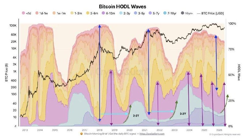 CryptoQuant HODL Waves Signal Bitcoin Cycle Bottom in $65.9K–$70.5K Range