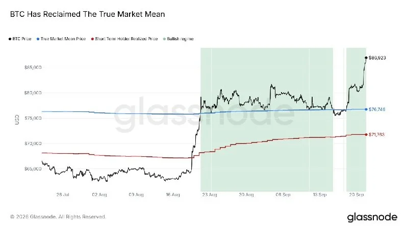 BTC Kritik Maliyet Tabanlarının Üzerinde Boğa Rejimini Koruyor