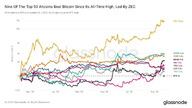 Altcoins: Only 9 of the Top 50 Beat BTC Since Its Peak