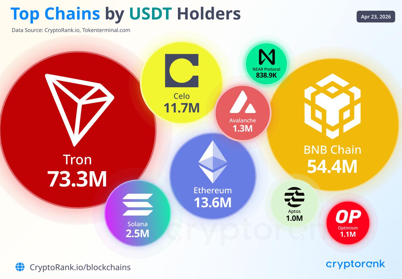 Tron leads all chains with 73.3M USDT holders, ahead of BNB Chain and Ethereum.