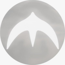 YZY logo