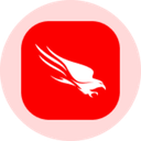CrowdStrike (Ondo Tokenized Stock)