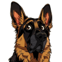 Hund