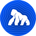 ApeCoin