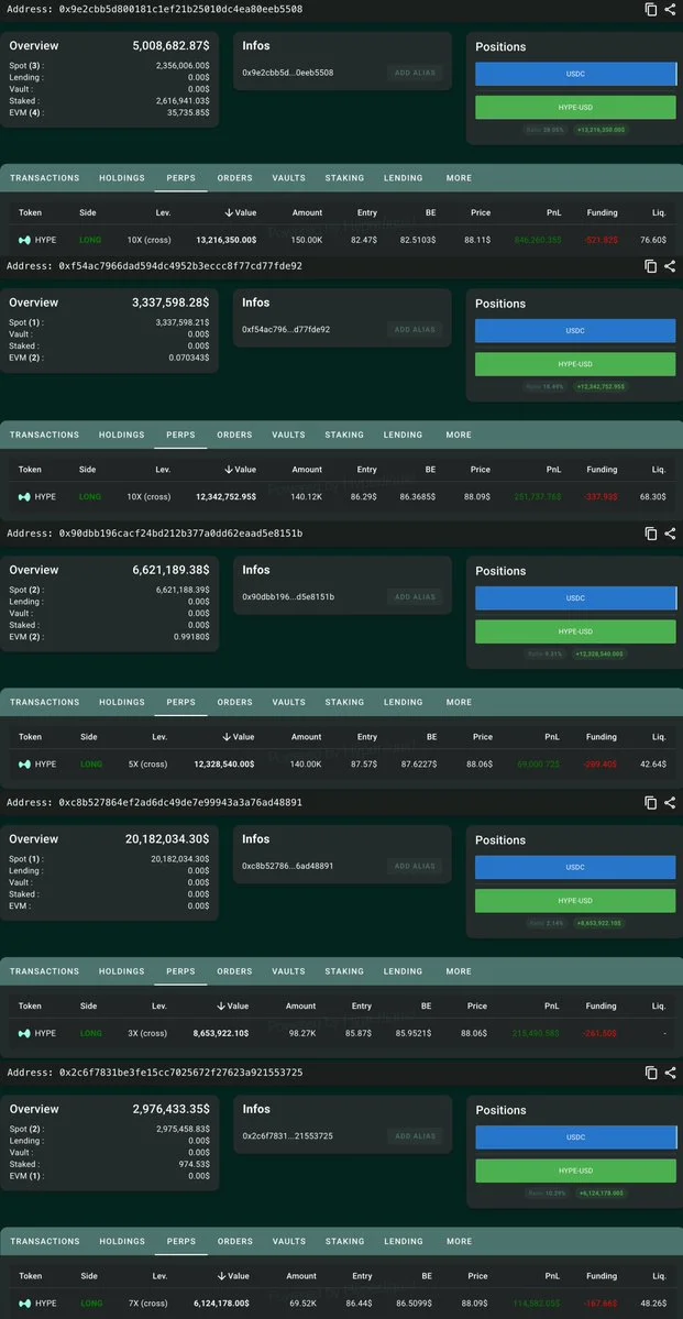 HYPE Whales Open Long Positions Worth 597,912 Tokens
