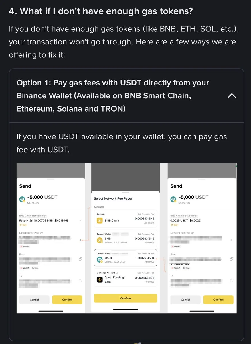 Binance Wallet Lets Users Pay Gas Fees in USDT