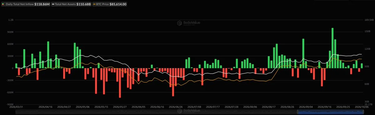 Bitcoin ETFs Attract $119M as Ether Funds Lose $202M