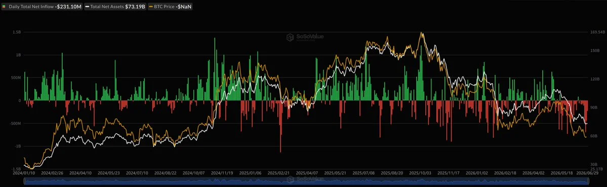 Bitcoin Spot ETFs Bleed $231M as Ether ETFs Shed $30M