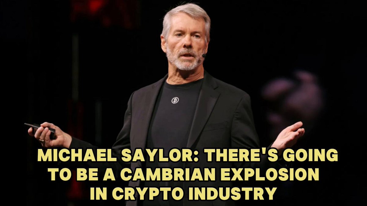 Michael Saylor: There's Going to Be a Cambrian Explosion of Crypto Industry

On 