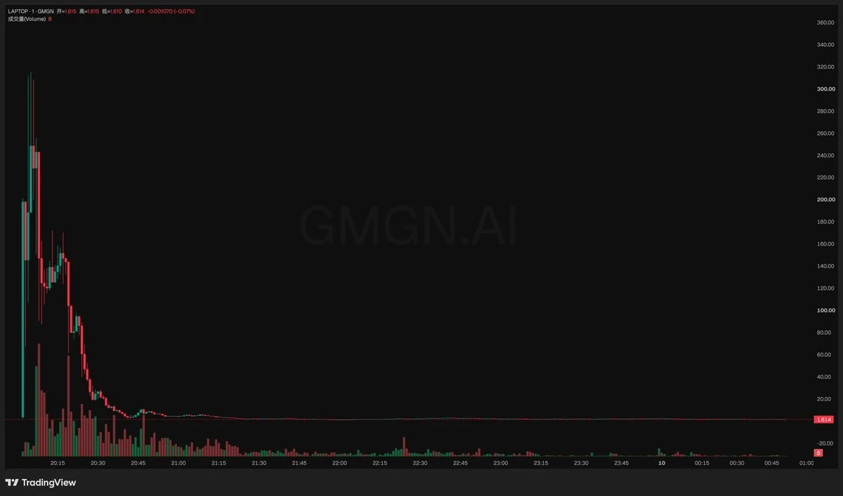 LAPTOP Meme Coin Plunges 99.5% From $314.94 ATH