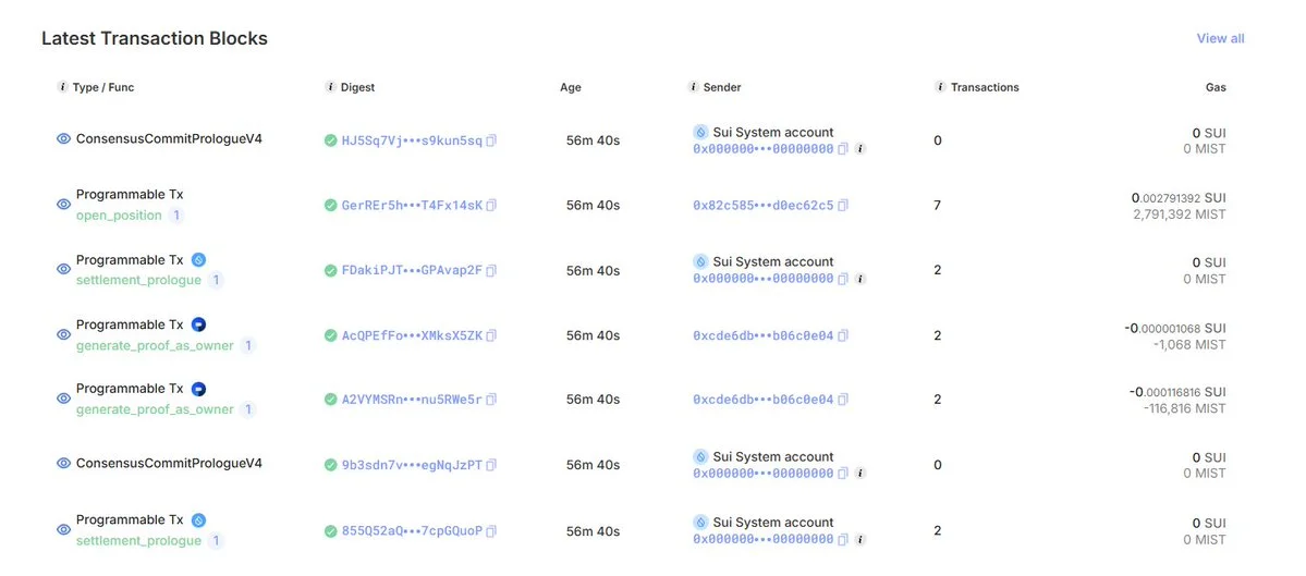 Sui Network Stalls — No Blocks Produced for Nearly an Hour!