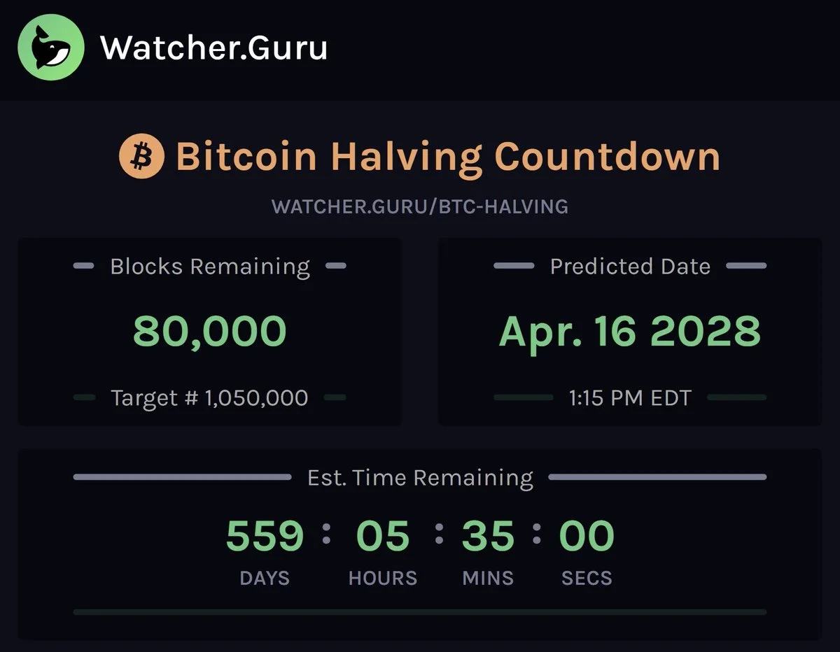 Bitcoin Has 80,000 Blocks Left Until Its Next Halving
