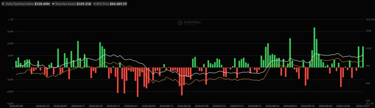ABD BTC ETF'leri tek günde 528 milyon dolarlık giriş aldı