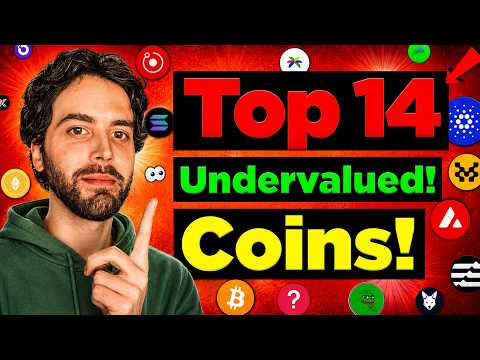 Altcoin Daily 14 altcoini döngü dip alımı için seçti