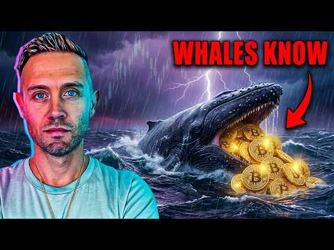 Bitcoin whales accumulate at record pace amid $48K–$57K retest