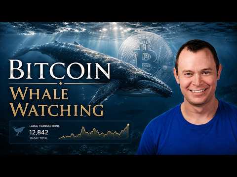 Bitcoin Whale Activity Nears 2018 Lows
